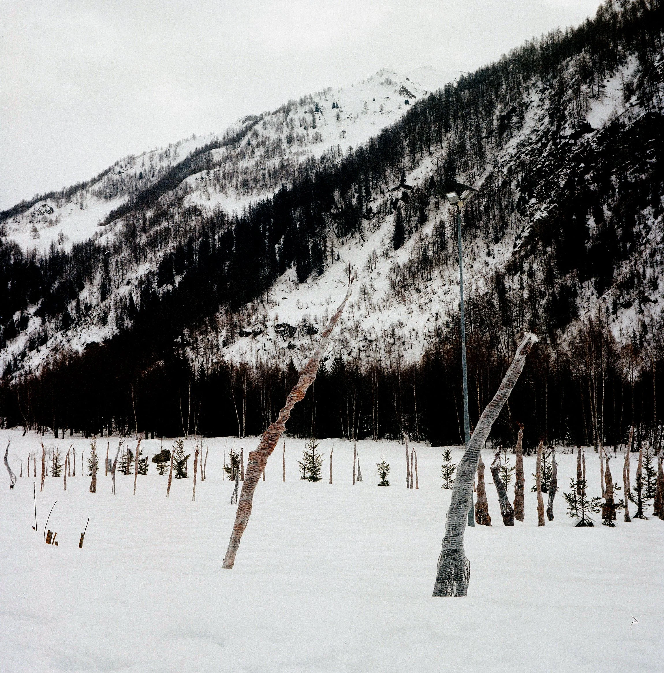 Scan color 6x6 001.JPG