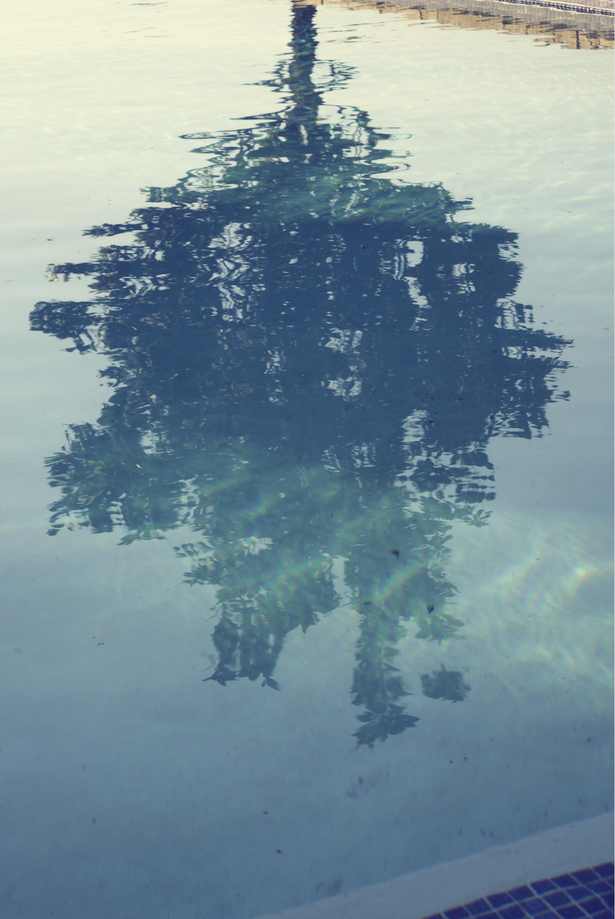 Screenshot 2026-02-23 at 16.32.42.png