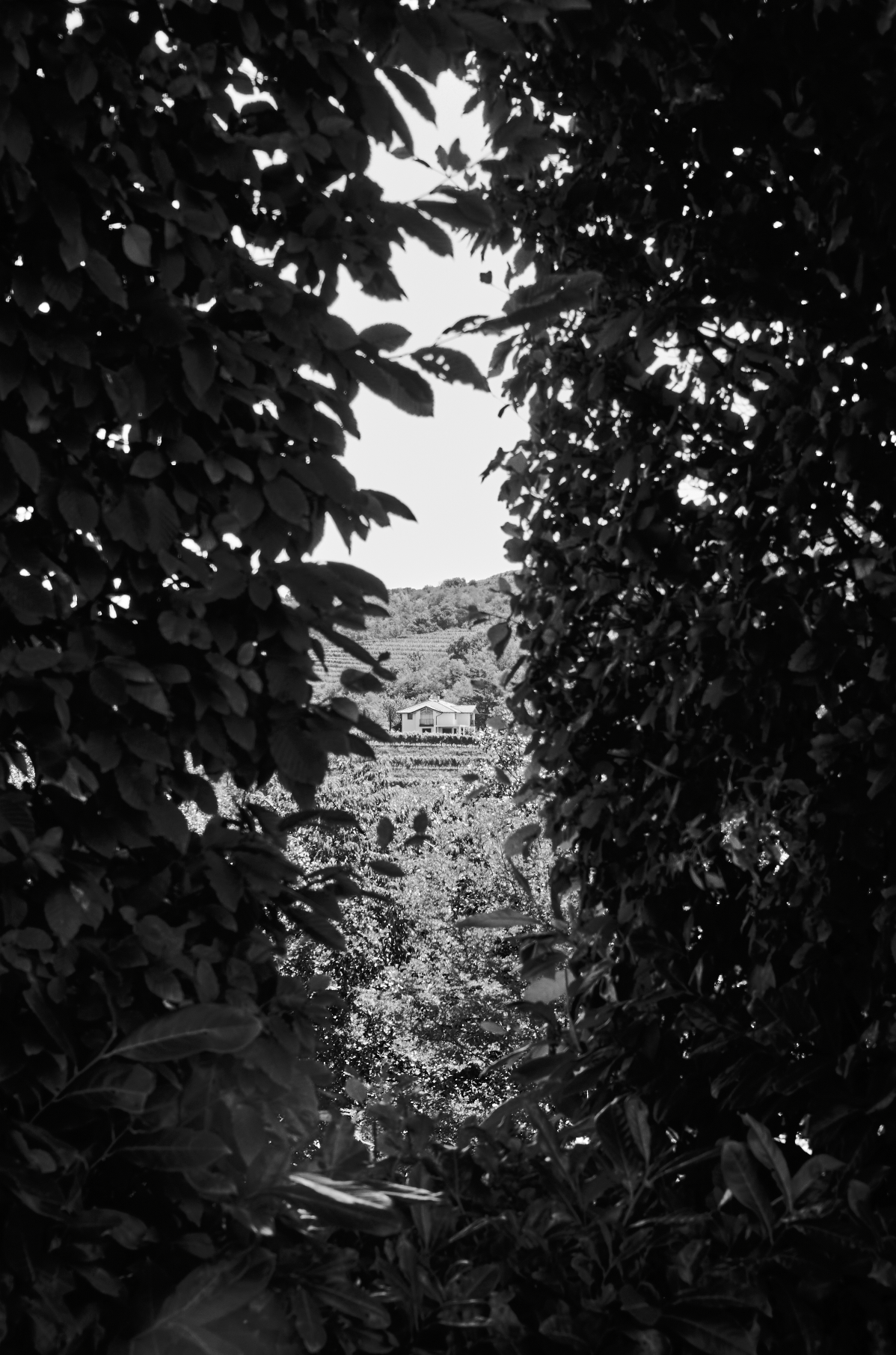 Screenshot 2026-02-23 at 16.29.59.png