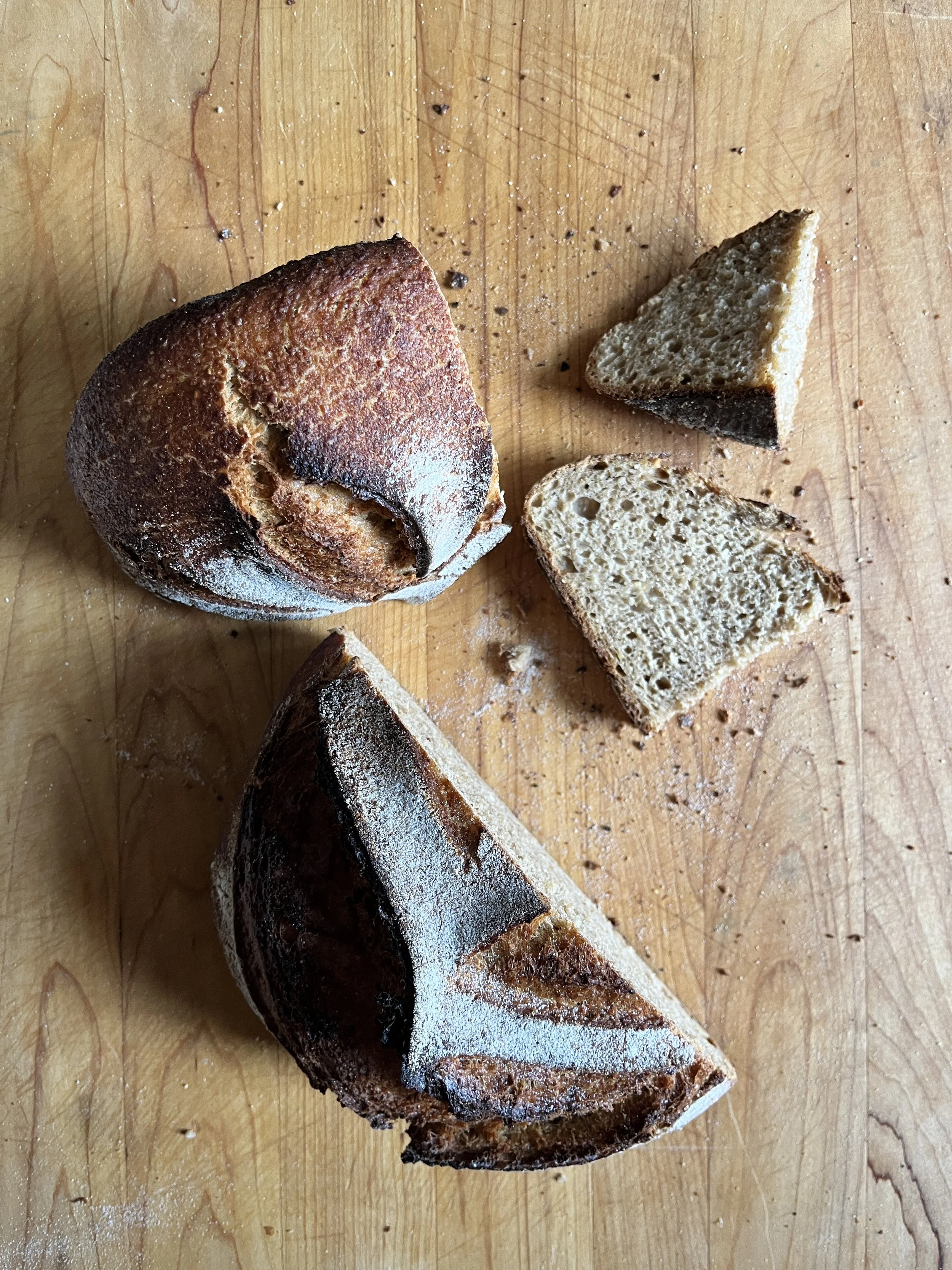 Thanksgiving - Cornmeal Buttermilk Sourdough