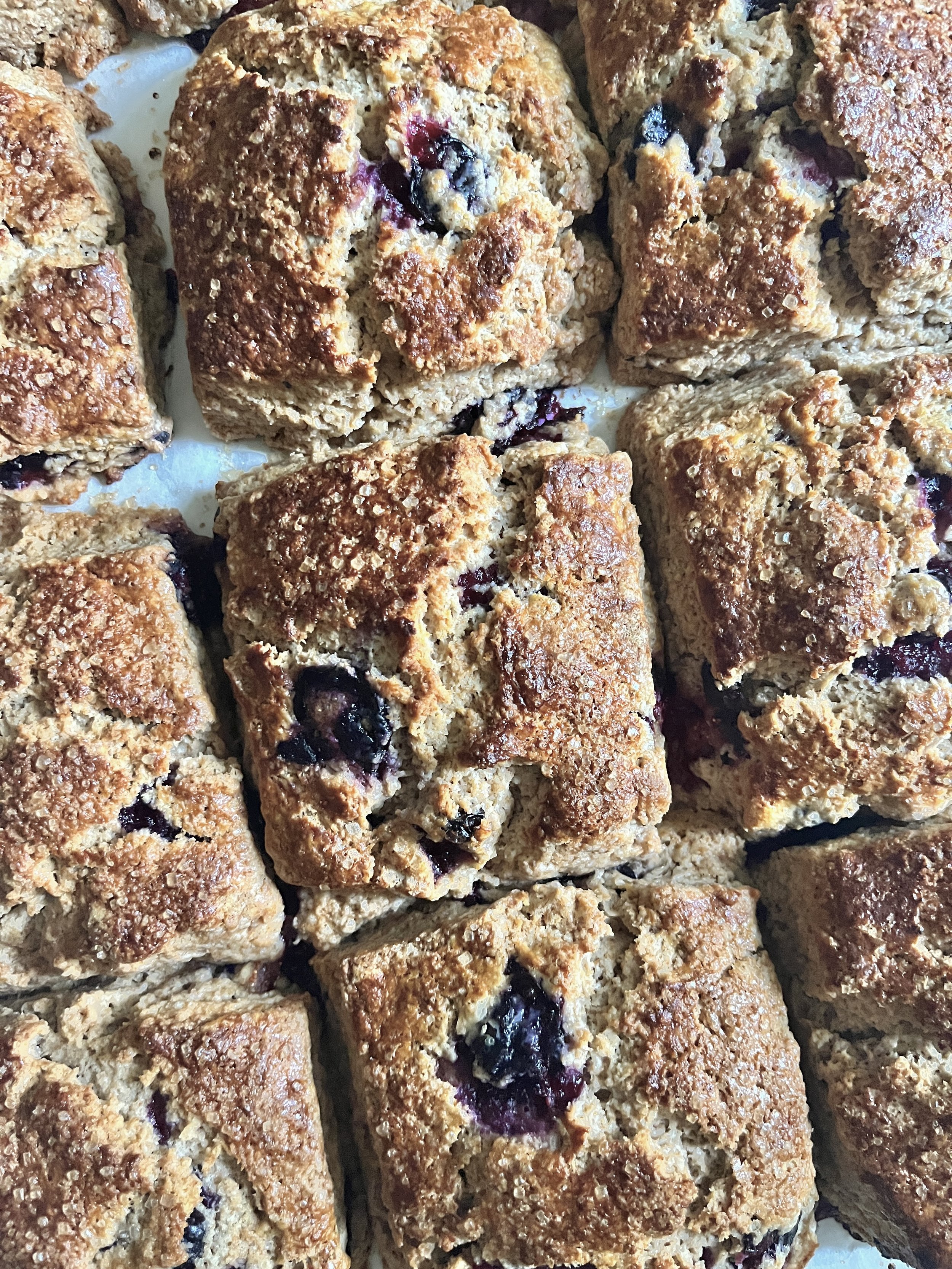 BLUEBERRY_SCONE.jpg