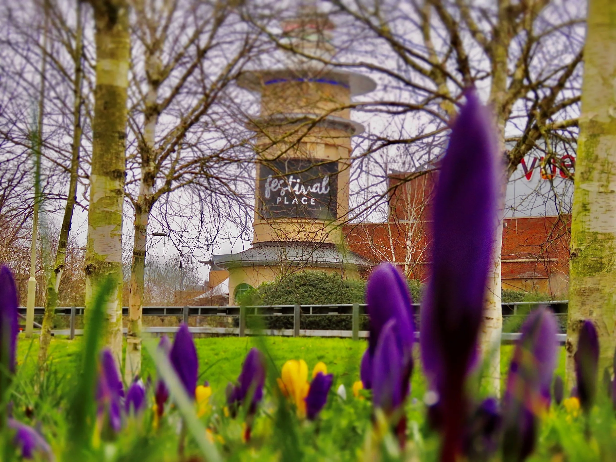 Landlords — Basingstoke Lettings