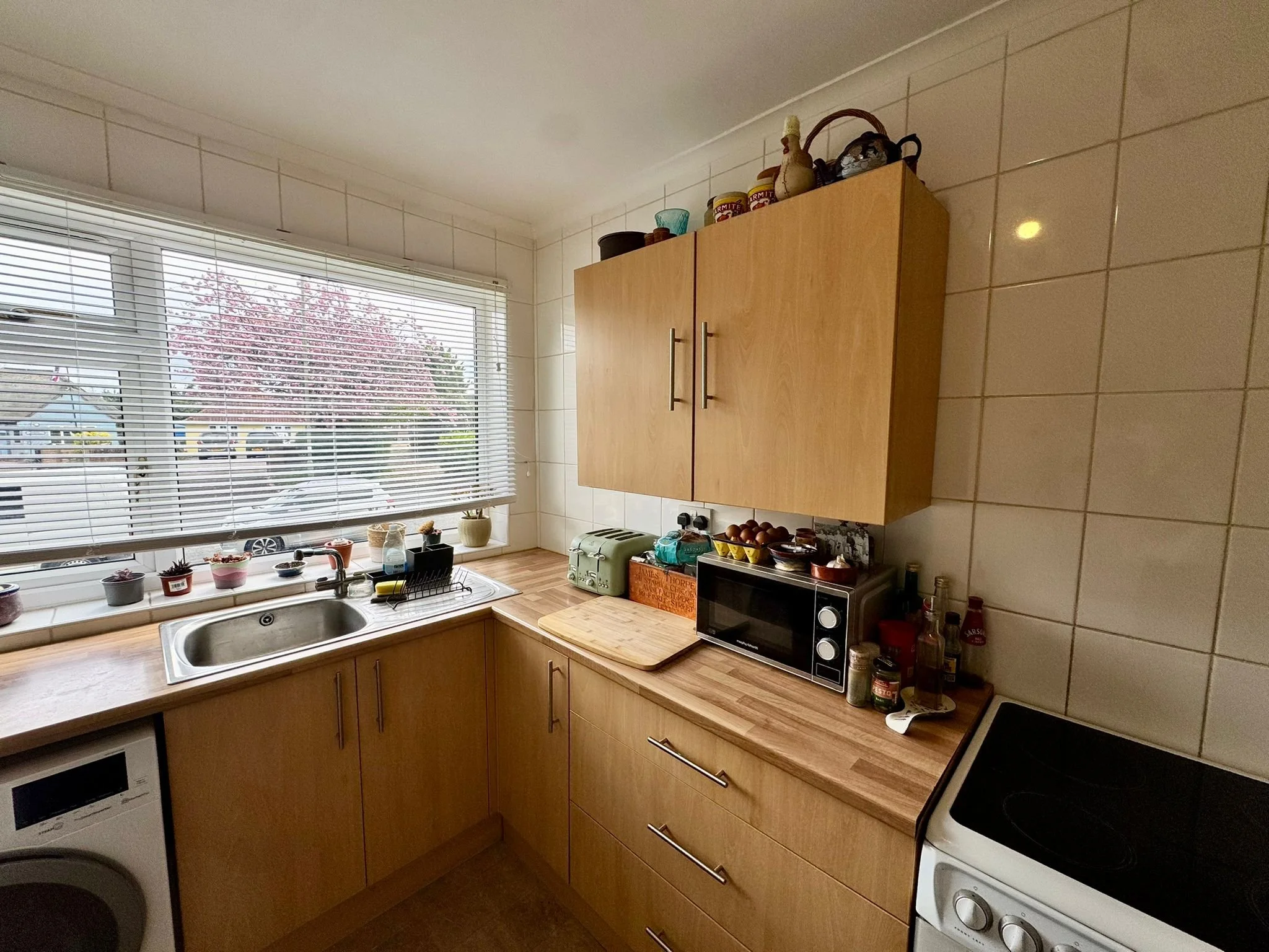 WhatsApp Image 2026-04-13 at 14.25.18.jpeg