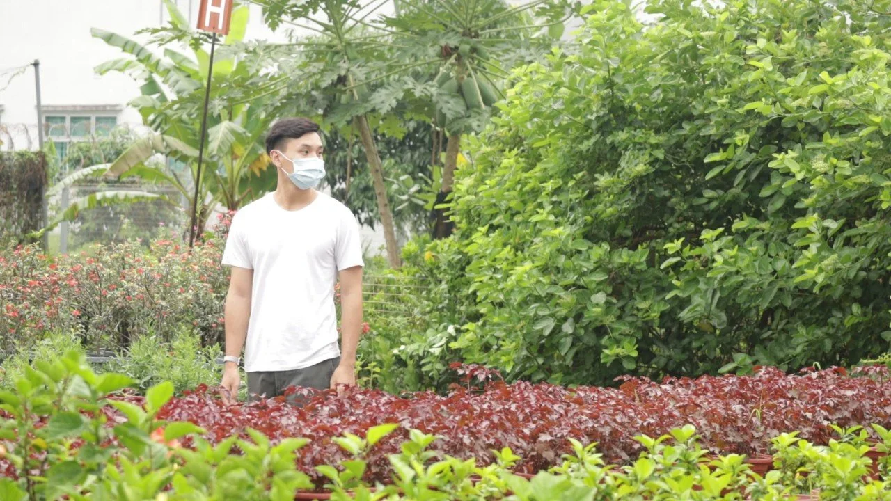 You reap what you sow — A quick reflection of 2021 thus far