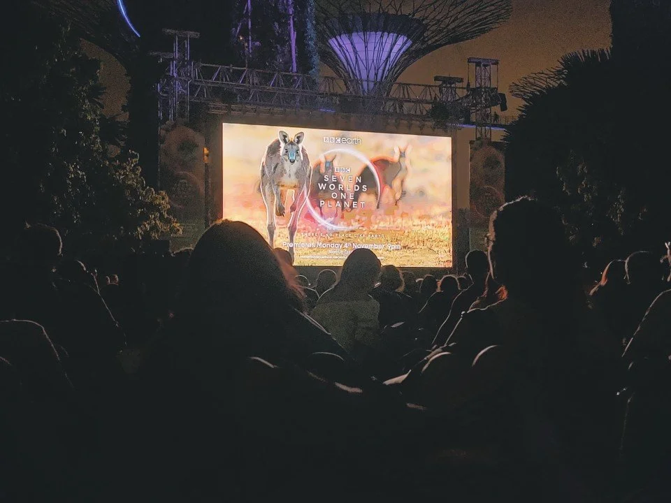 Documentaries and the Experience of Collective Engagement