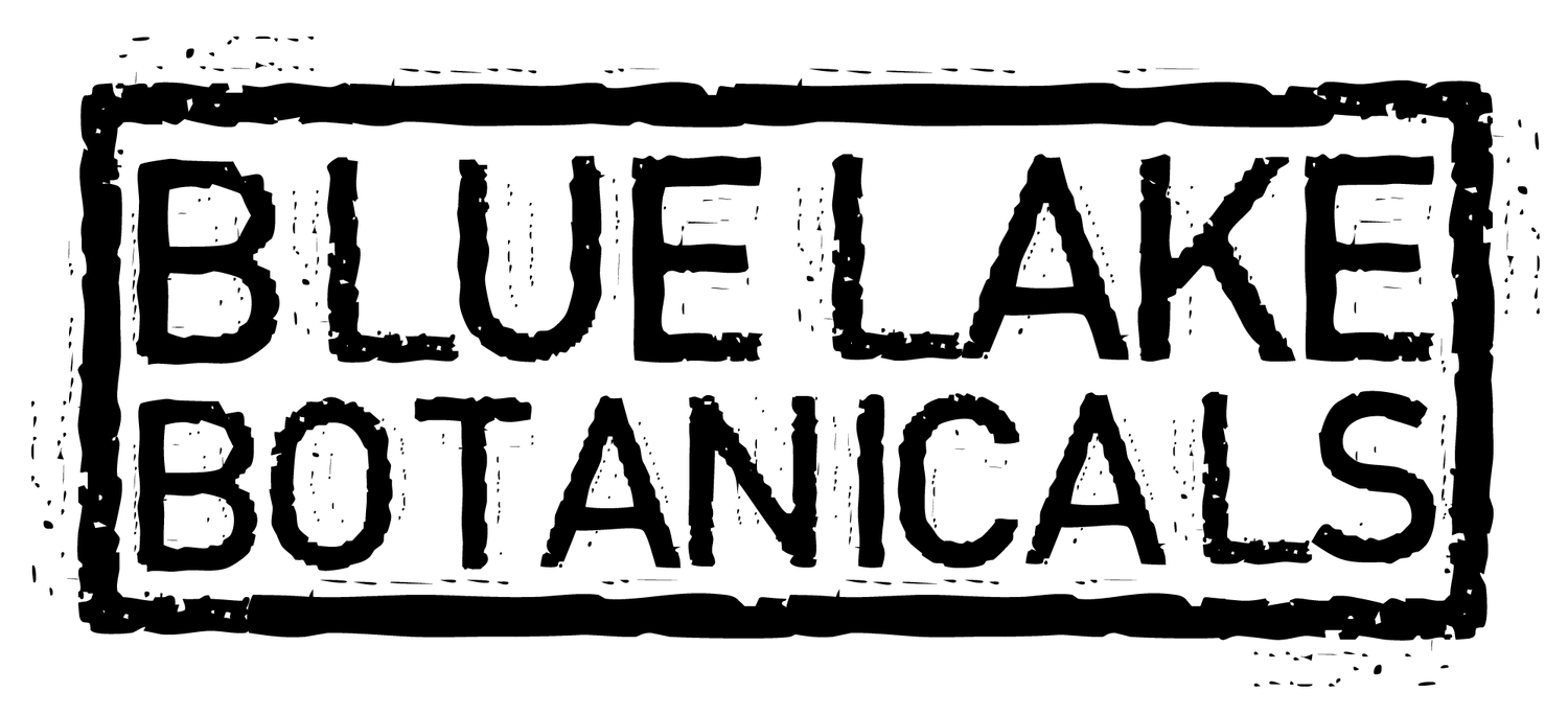 Blue Lake Botanicals | herbal skincare, herbal remedies, handcrafted tea, loose leaf tea, natural skincare