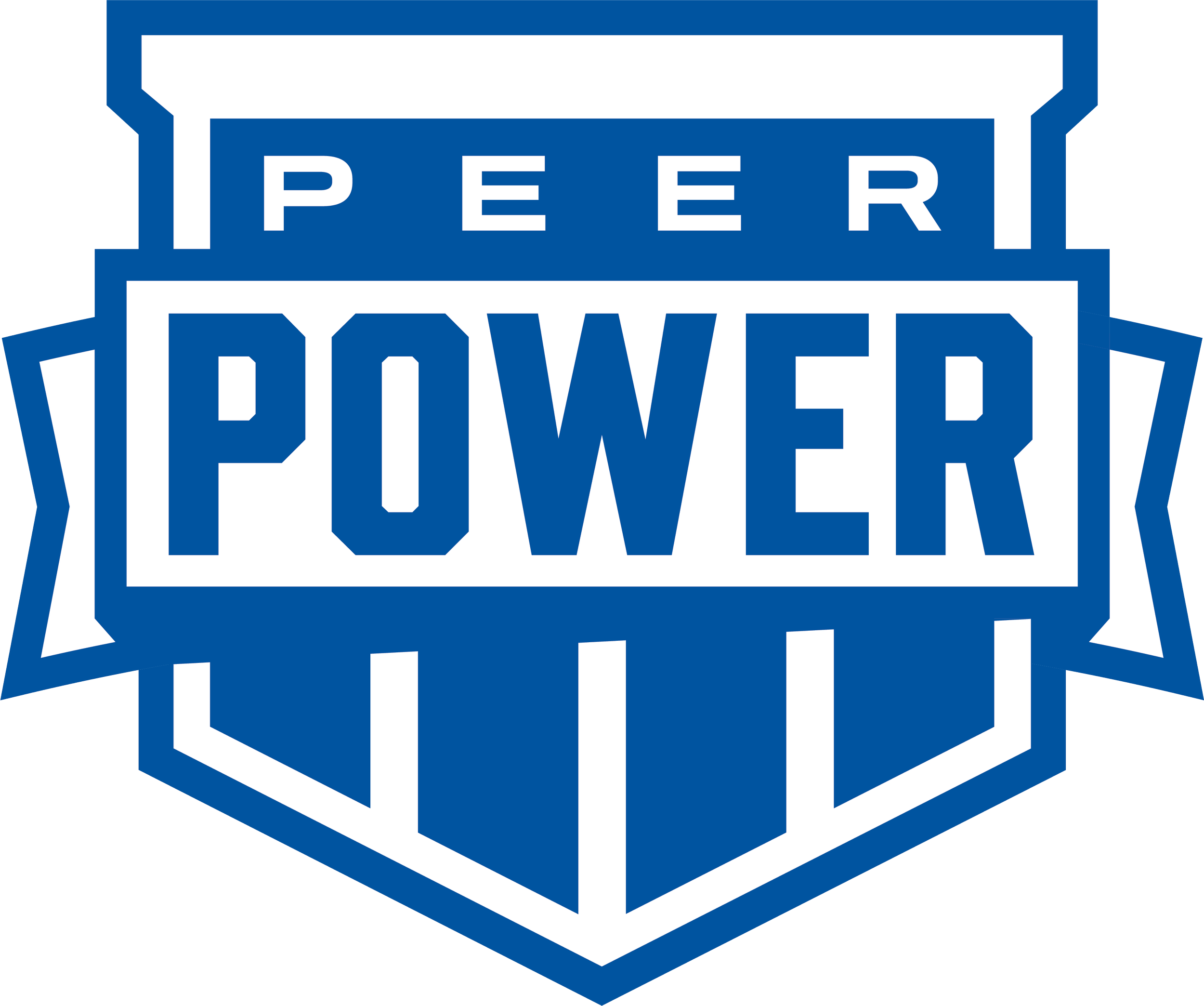 Peer Power 2026.png