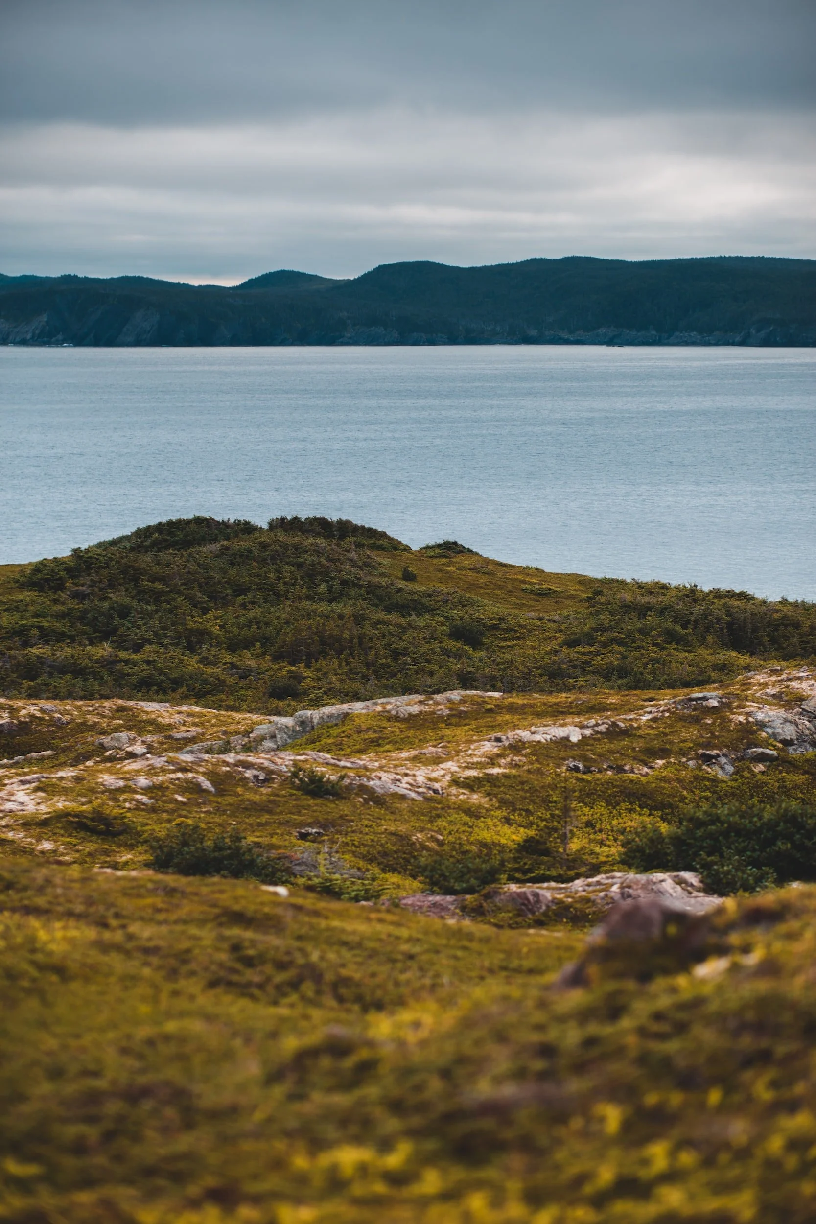 189: How to steward your Self, not dominate and fix