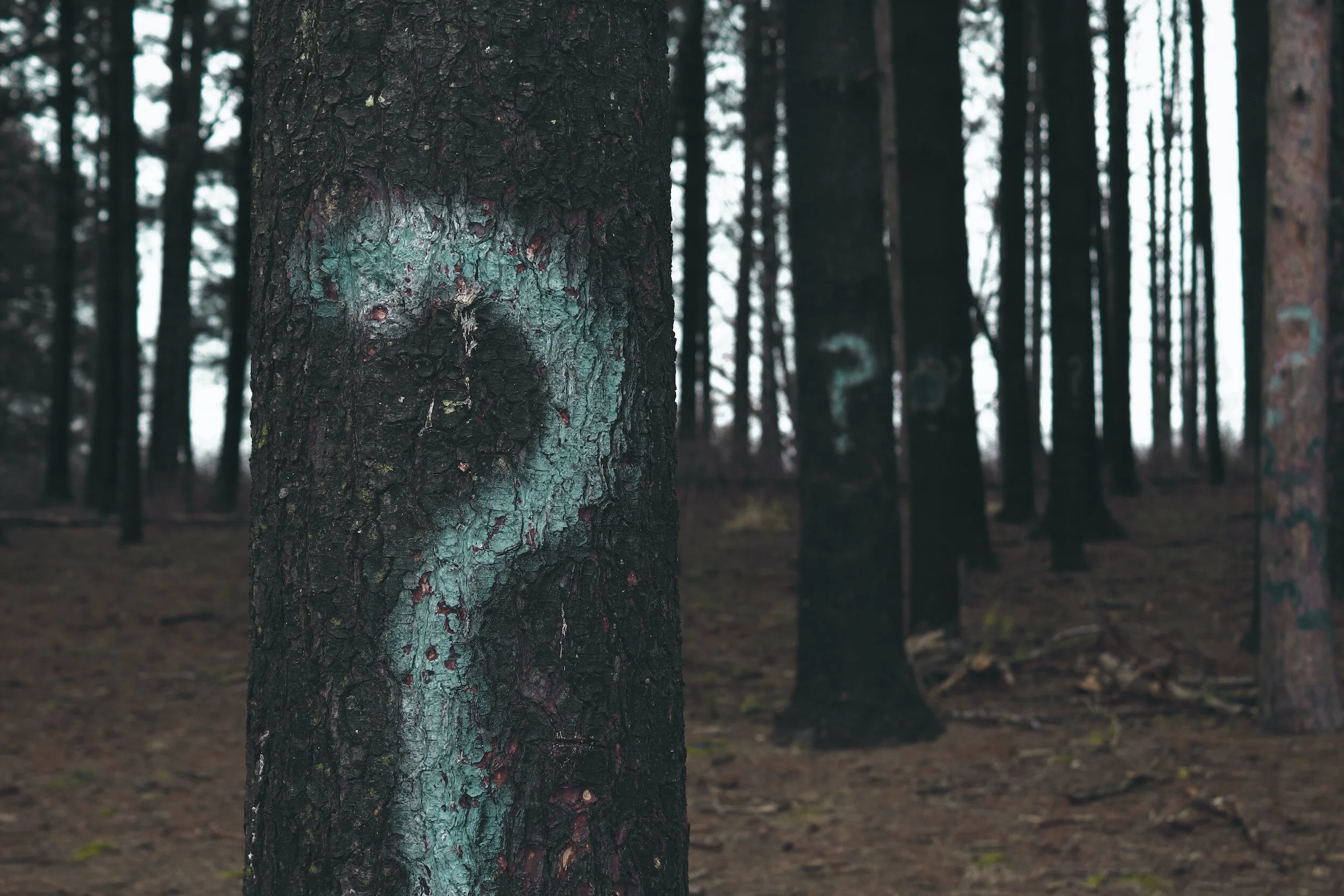 219: What do I mean by leadership? And what blocks you from considering yourself a leader?