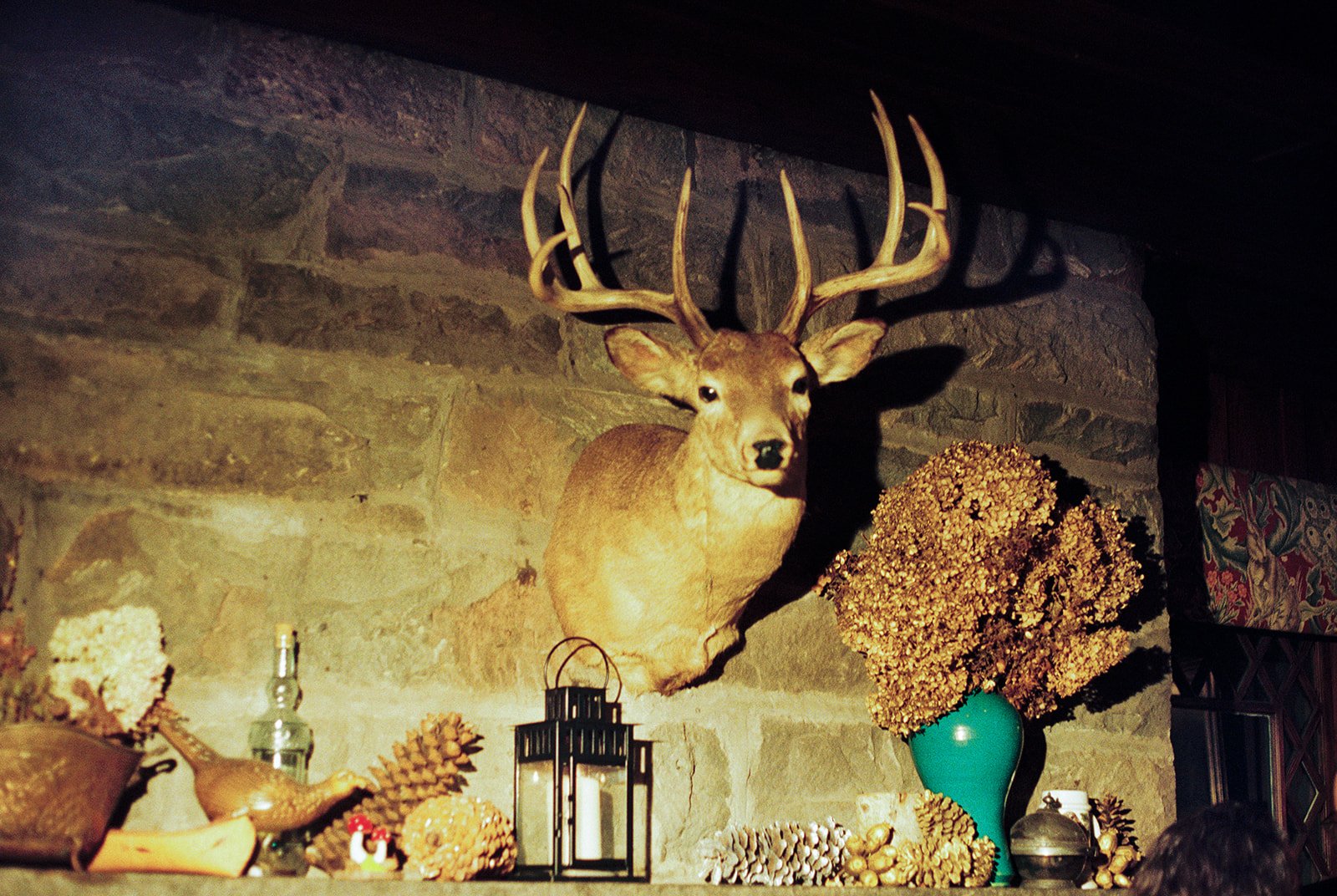 Film photo of a mounted deer and rustic decor above the stone fireplace inside Deer Mountain Inn.