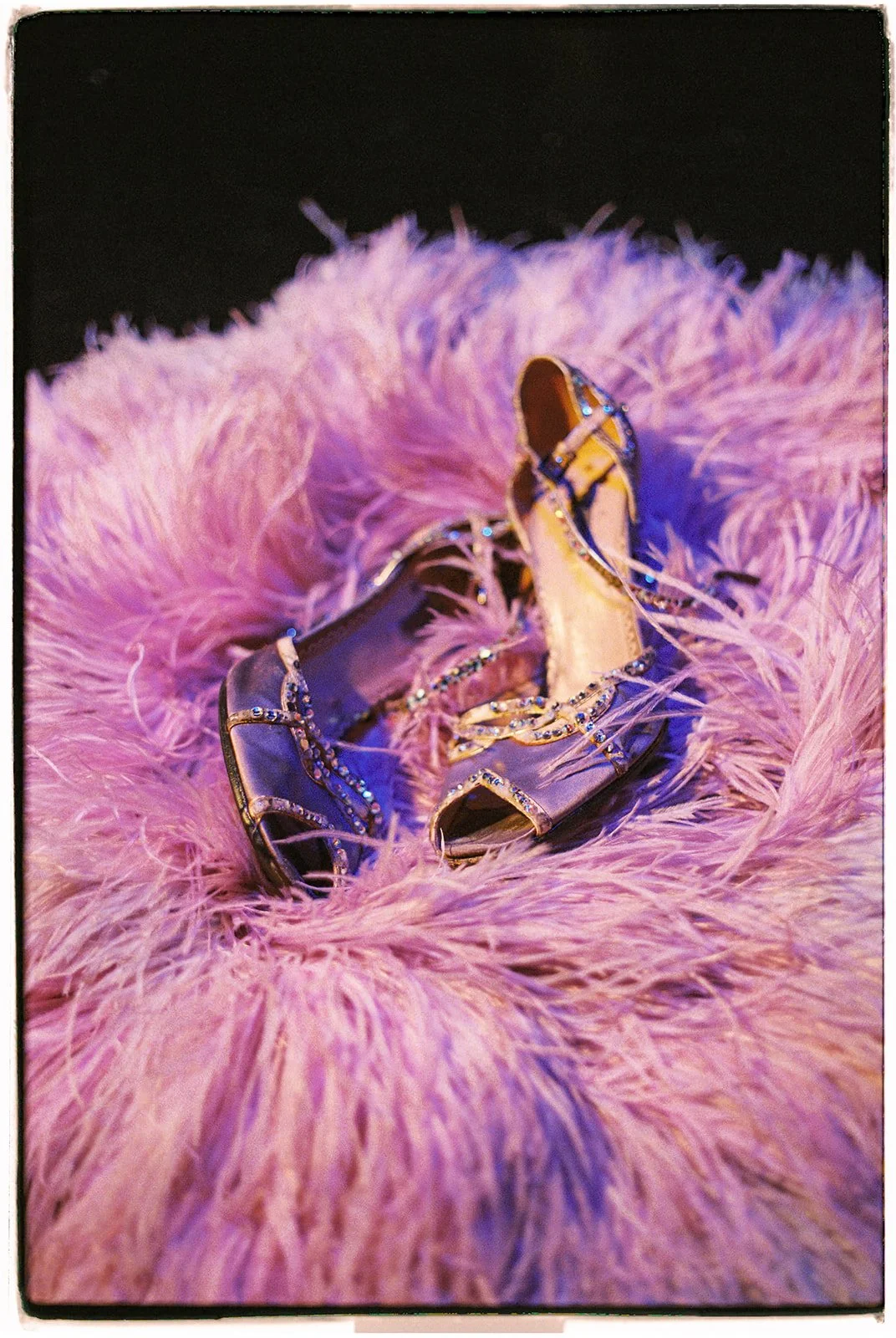 Showgirl heels resting on a pink feather costume piece at Superfrico in Las Vegas, photographed on 35mm film.