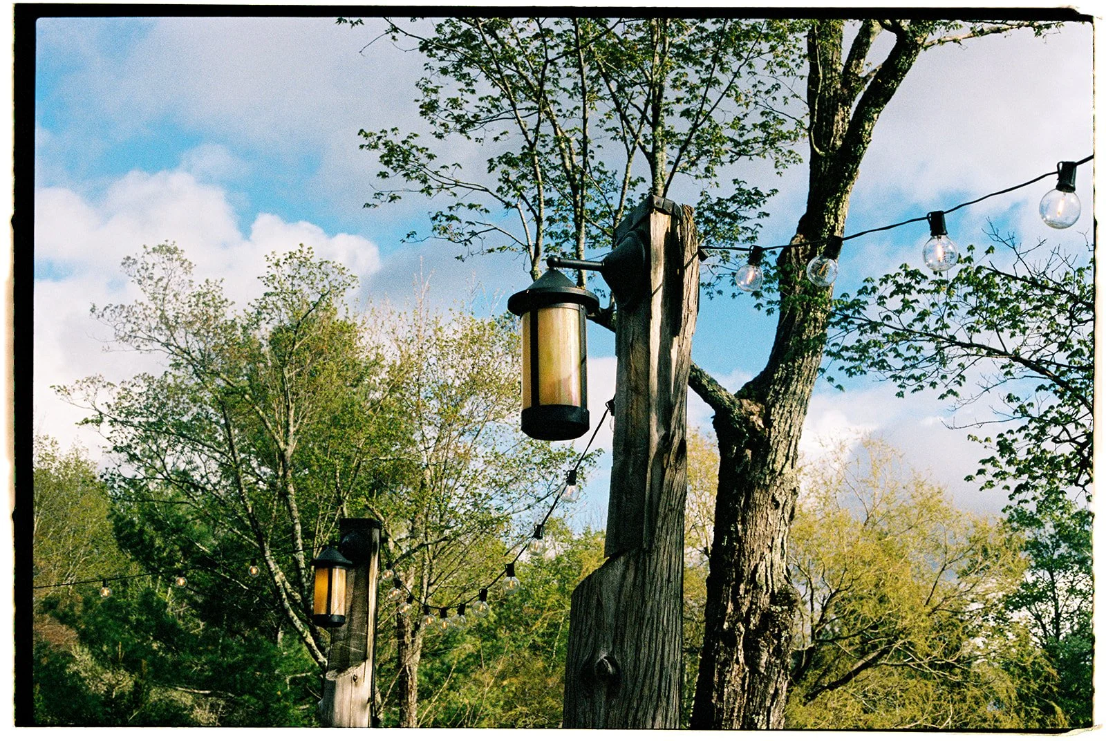 Film photo of lanterns and string lights hanging among the trees outside Deer Mountain Inn.