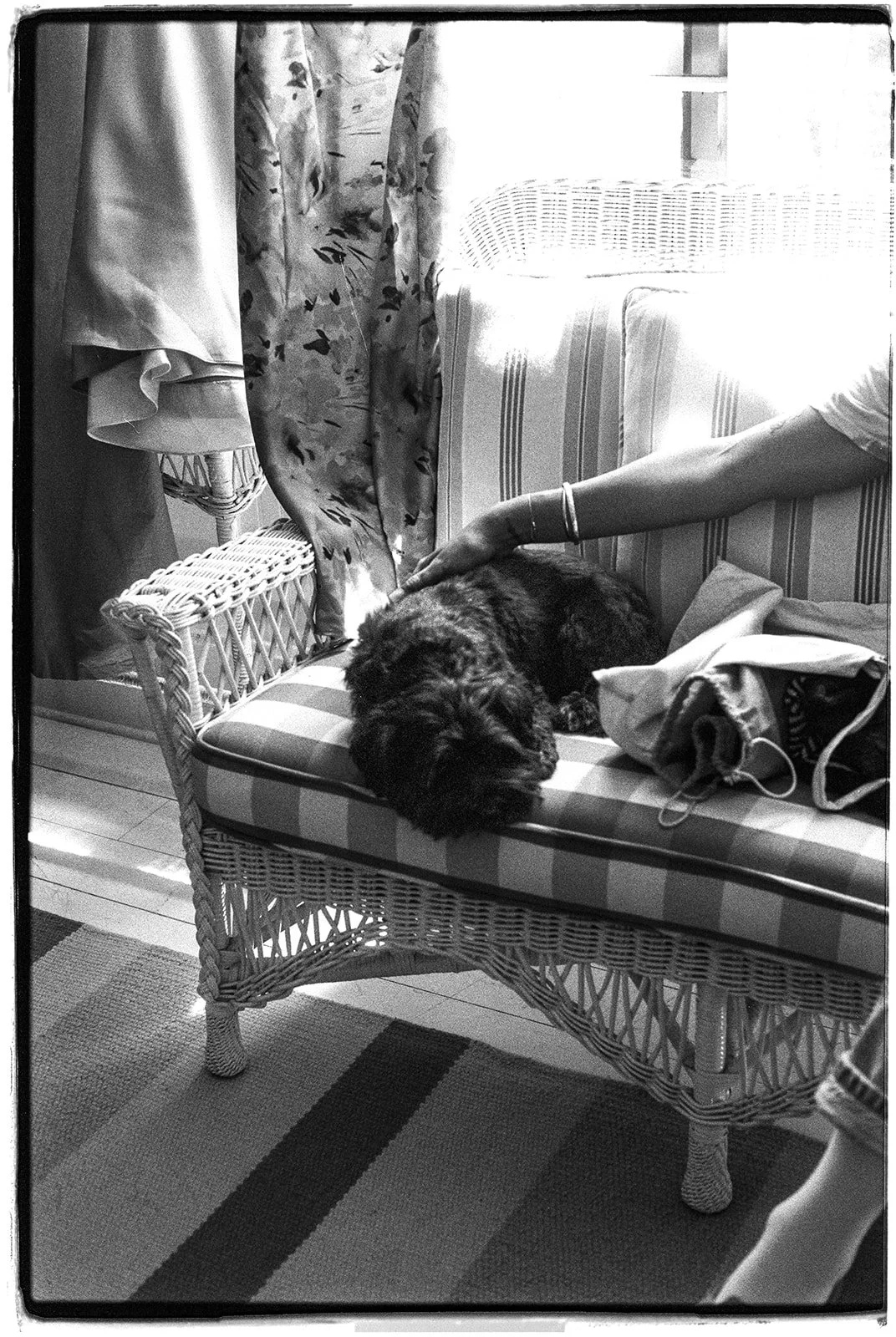 Black-and-white film photo of a dog resting on a wicker bench while the bride gets ready at Deer Mountain Inn.