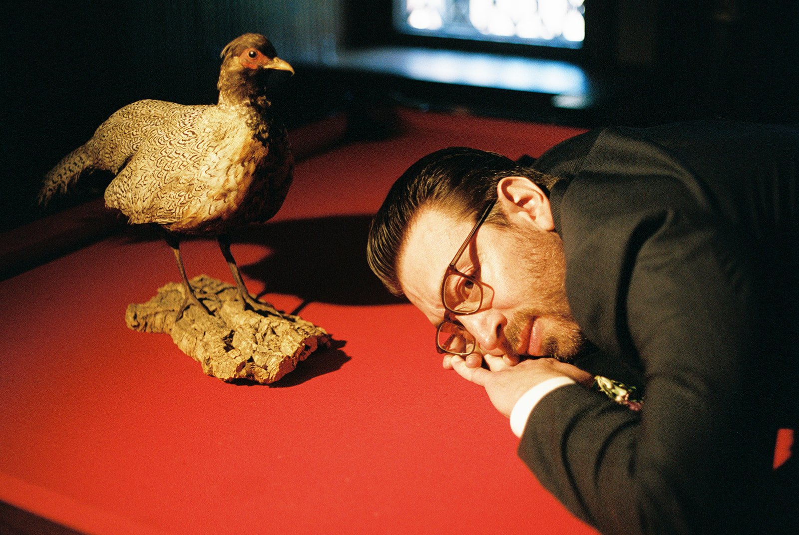 Playful film wedding photo of the groom resting beside a taxidermy bird on the red pool table.
