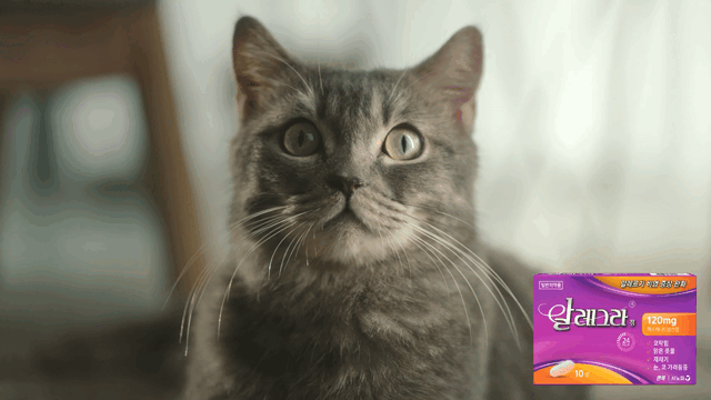 Telfast_V1-0014.gif