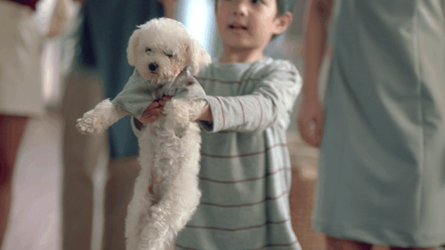 LG Styler_V1-0012.gif