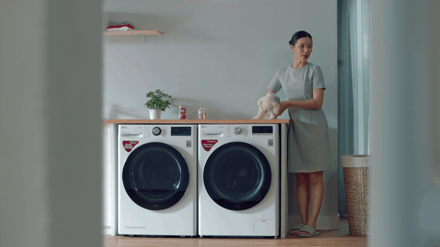 LG Styler_V1-0013.gif