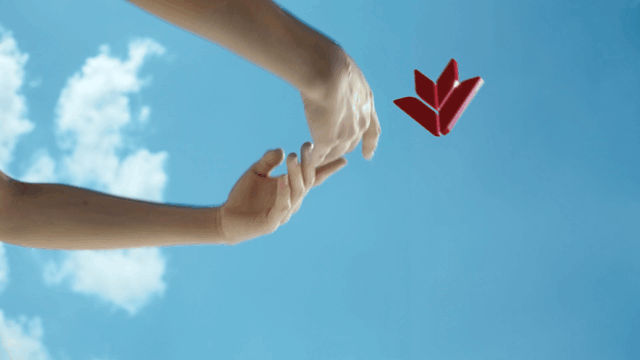 VPBank_V1-0015.gif