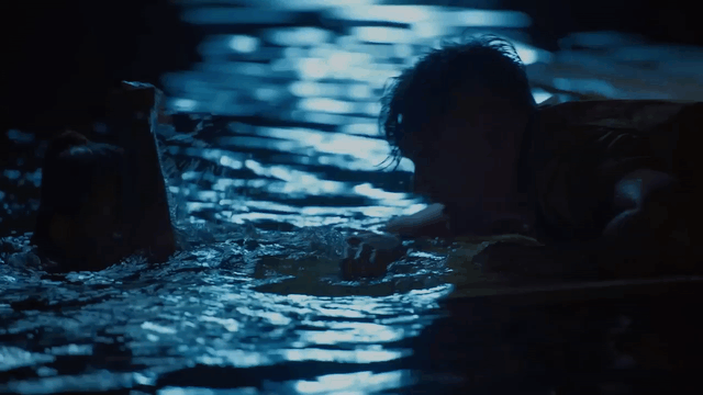 VTPCGV_V1-0005.gif