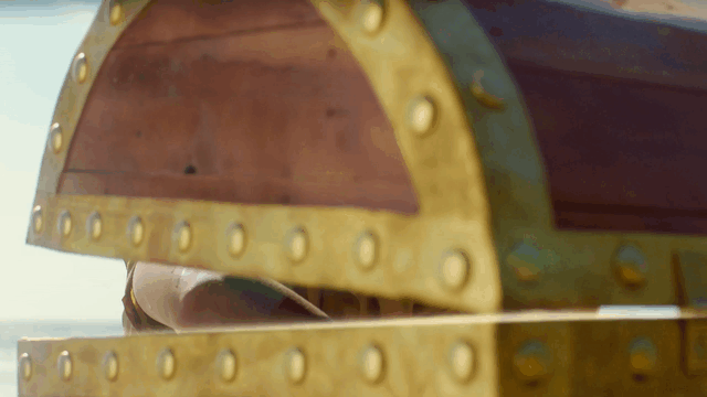 VTPCGV_V1-0009.gif