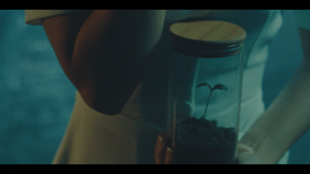VF_XMD_V1-0002.gif