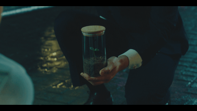 VF_XMD_V1-0014.gif