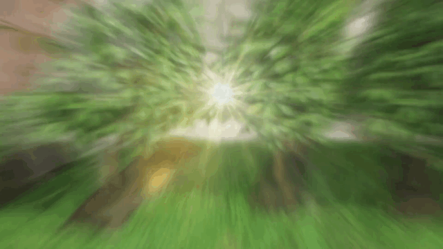 Ajinomoto_V1-0001.gif