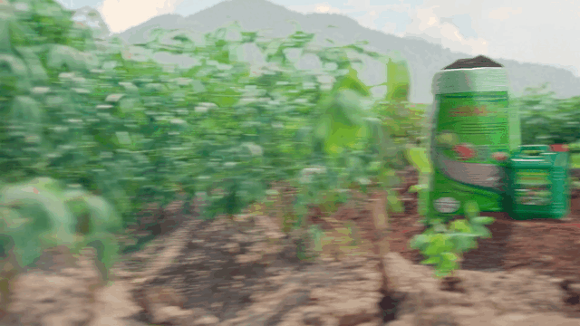 Ajinomoto_V1-0004.gif