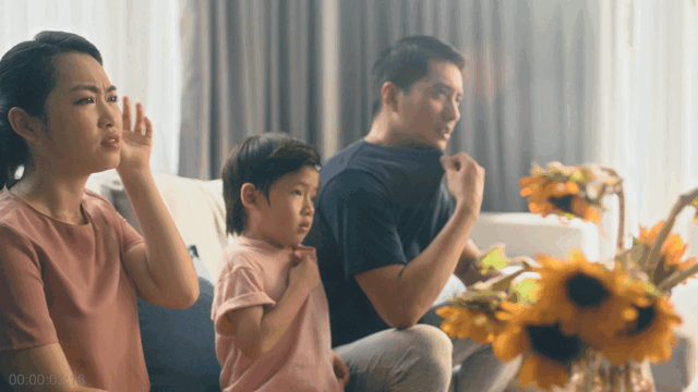 Daikin_V1-0003.gif
