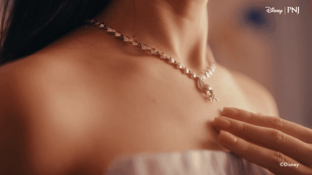 PNJ Disney_V1-0019.gif