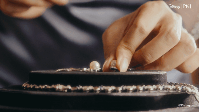 PNJ Disney_V1-0023.gif