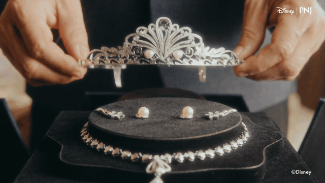 PNJ Disney_V1-0024.gif