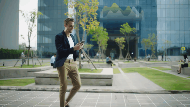 IFF_V1-0007.gif