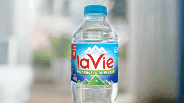 Lavie_V1-0001.gif