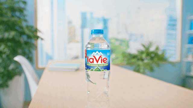 Lavie_V1-0005.gif