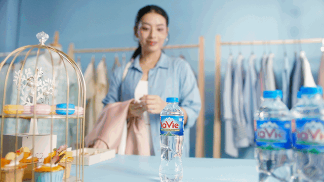 Lavie_V1-0010.gif