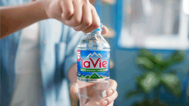 Lavie_V1-0011.gif