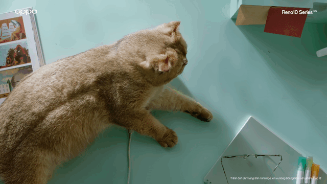 Oppo_V1-0015.gif