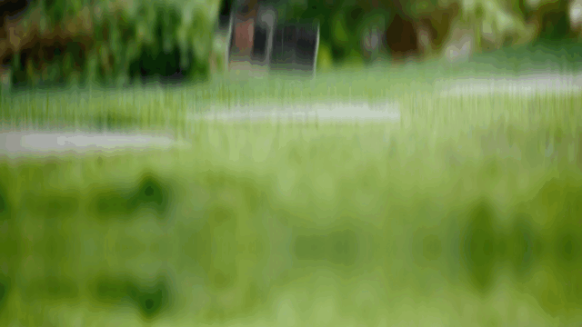 samsungcare_V1-0005.gif