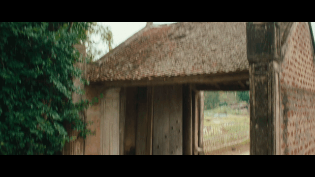 vtmoneytet_V1-0012.gif