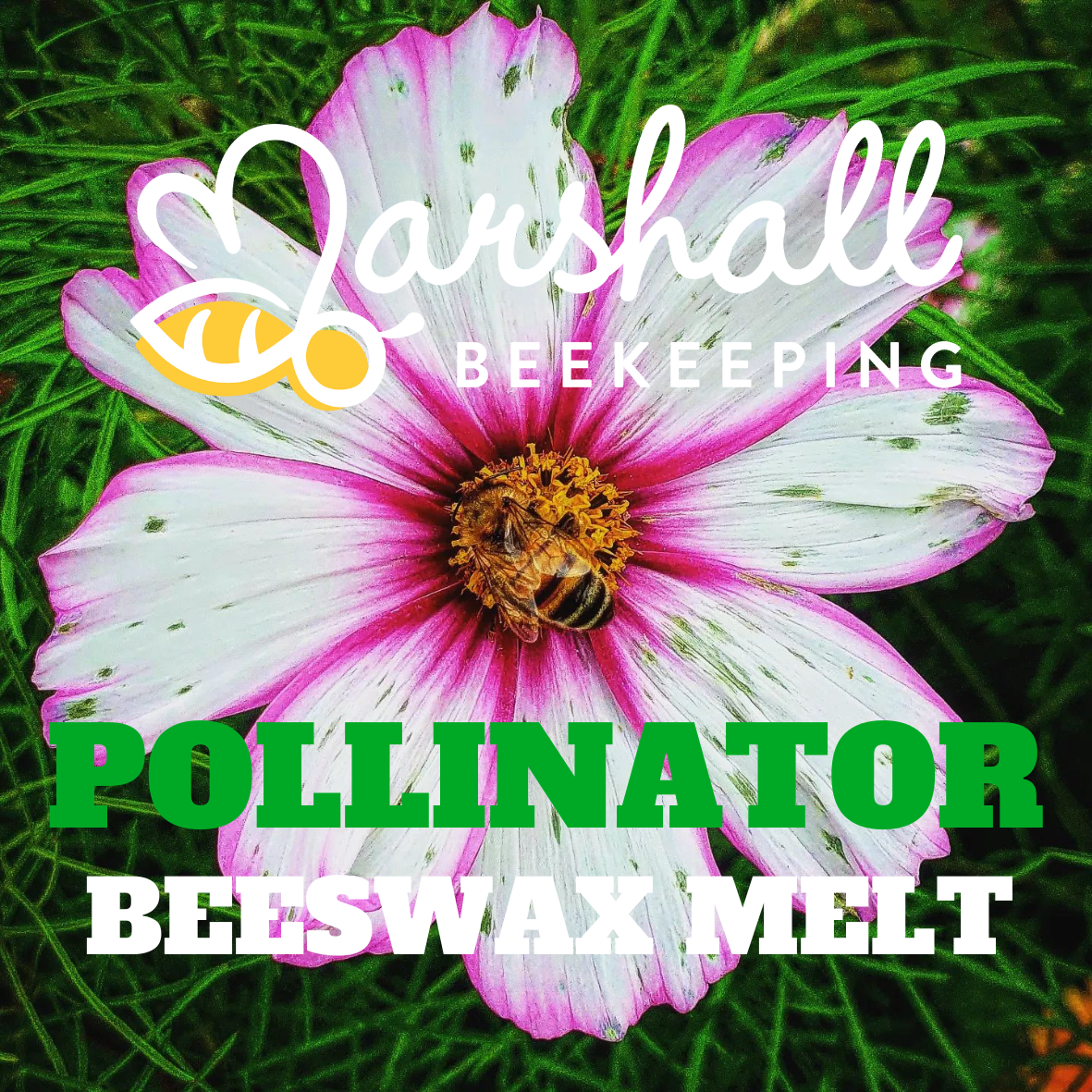 POLLINATOR.png