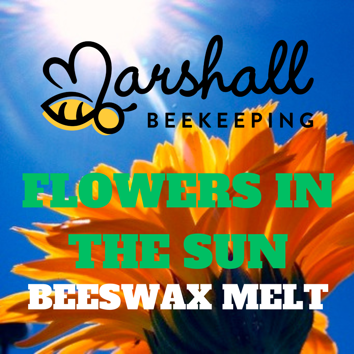 FLOWERS IN THE SUN.png
