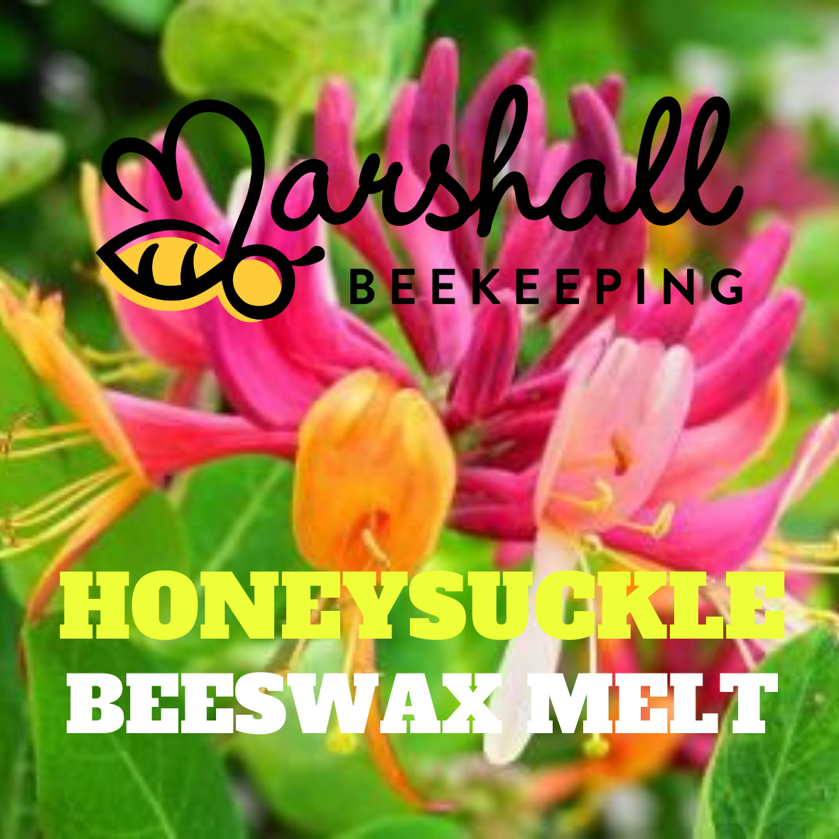 Honeysuckle