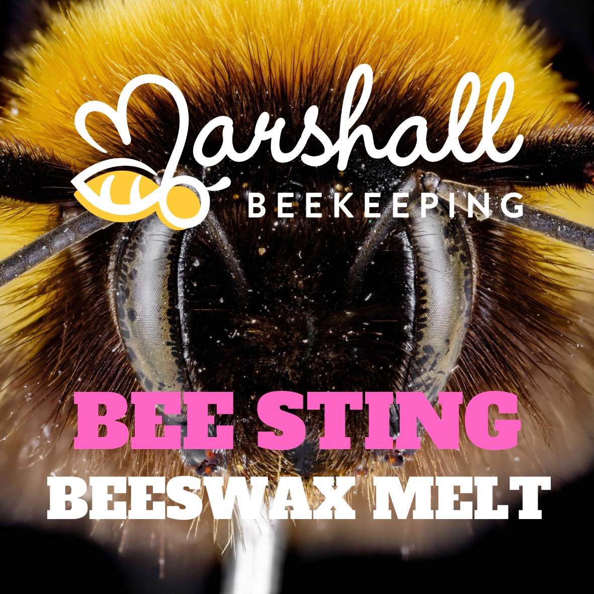 BEE STING.png