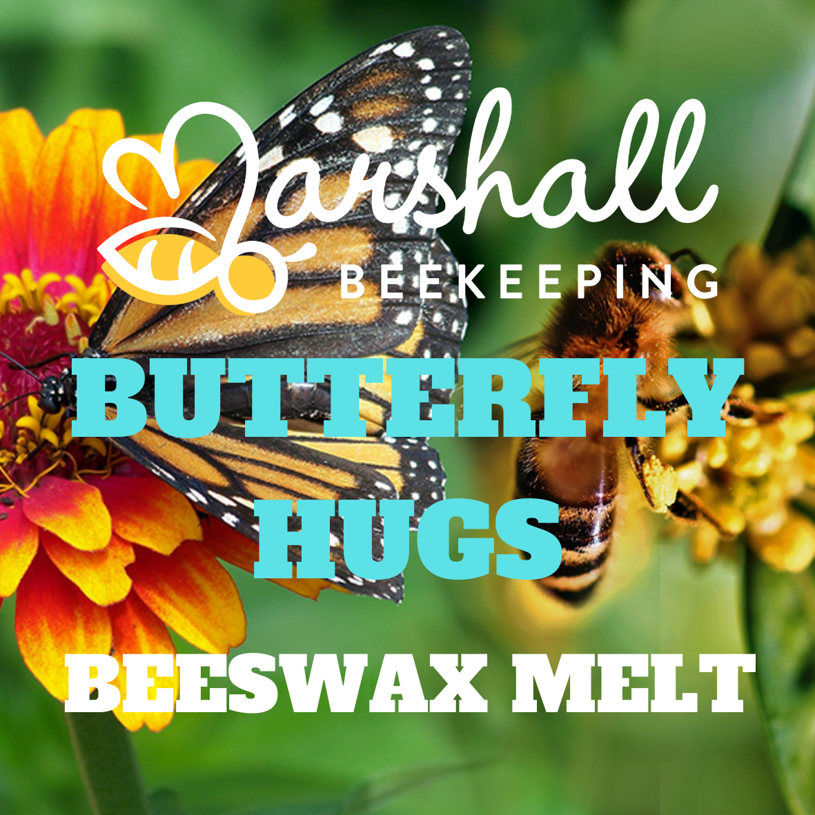 BUTTERFLY HUGS.png