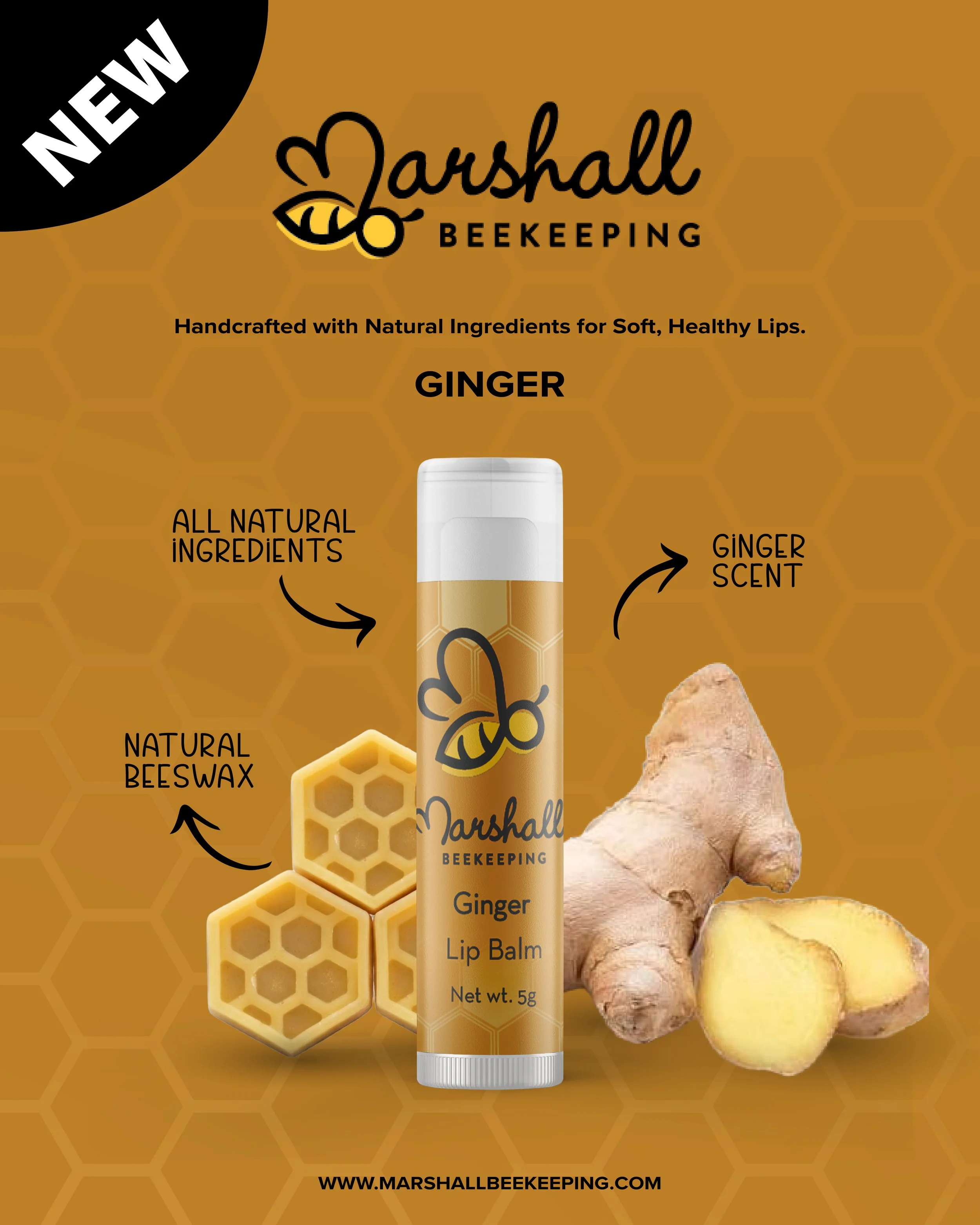 Ginger.jpg