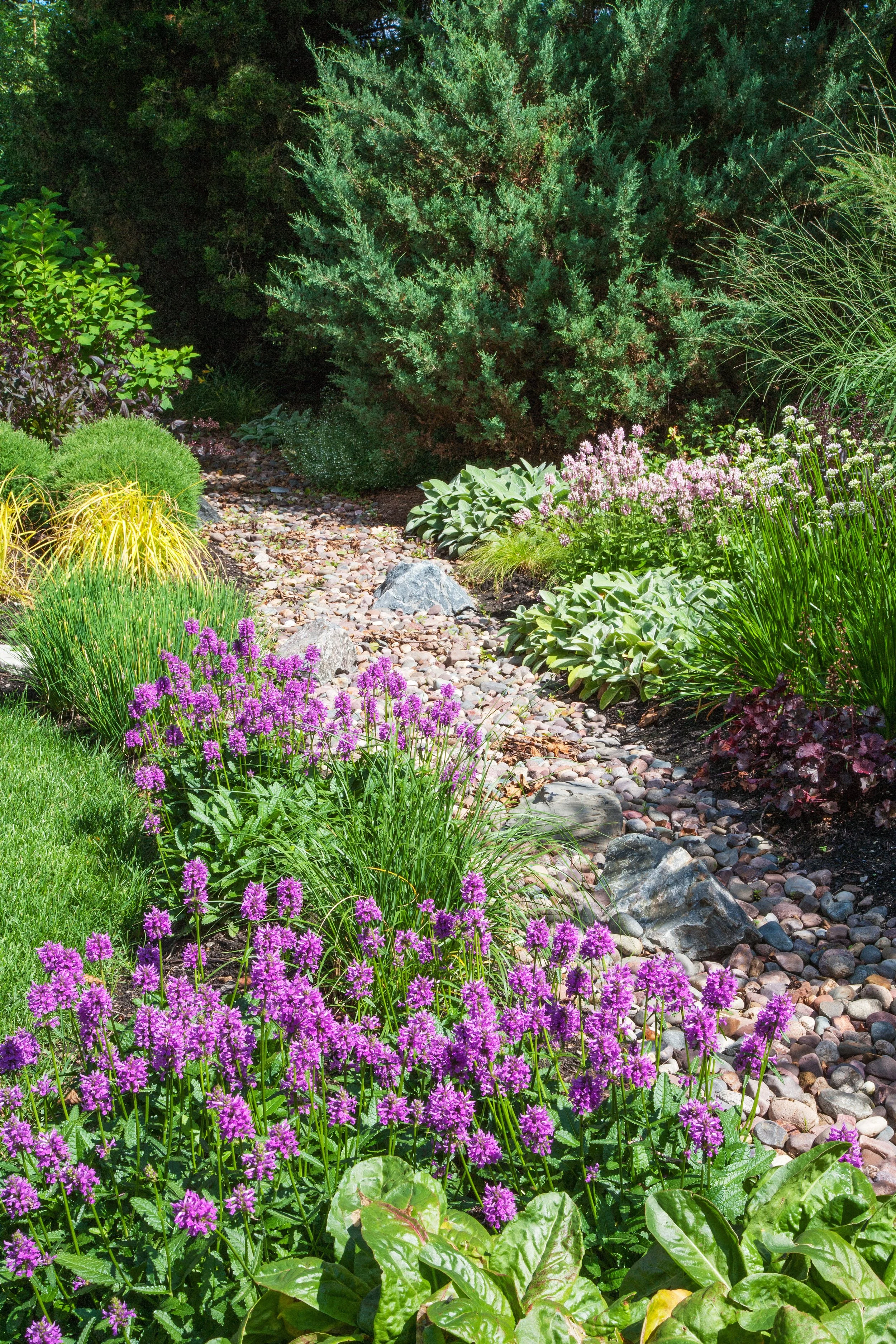 A garden with various flowering plants, green shrubs, and trees, featuring a gravel pathway winding through the lush vegetation.