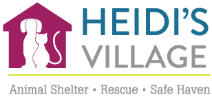 f7b5af2507f2534031df19b430ae73d2f4b4dcee-308x141.png