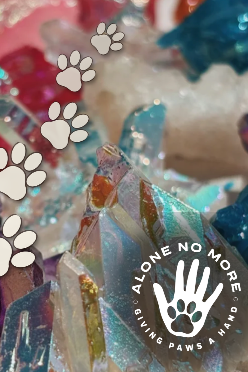 ANM paws and reflect Sound Bath ft. Taran Ailey