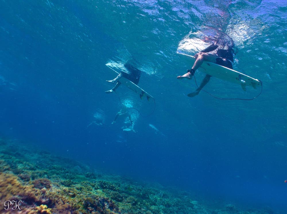Surf-Fiji-Waidroka-Surf-Resort-Underwater.jpg